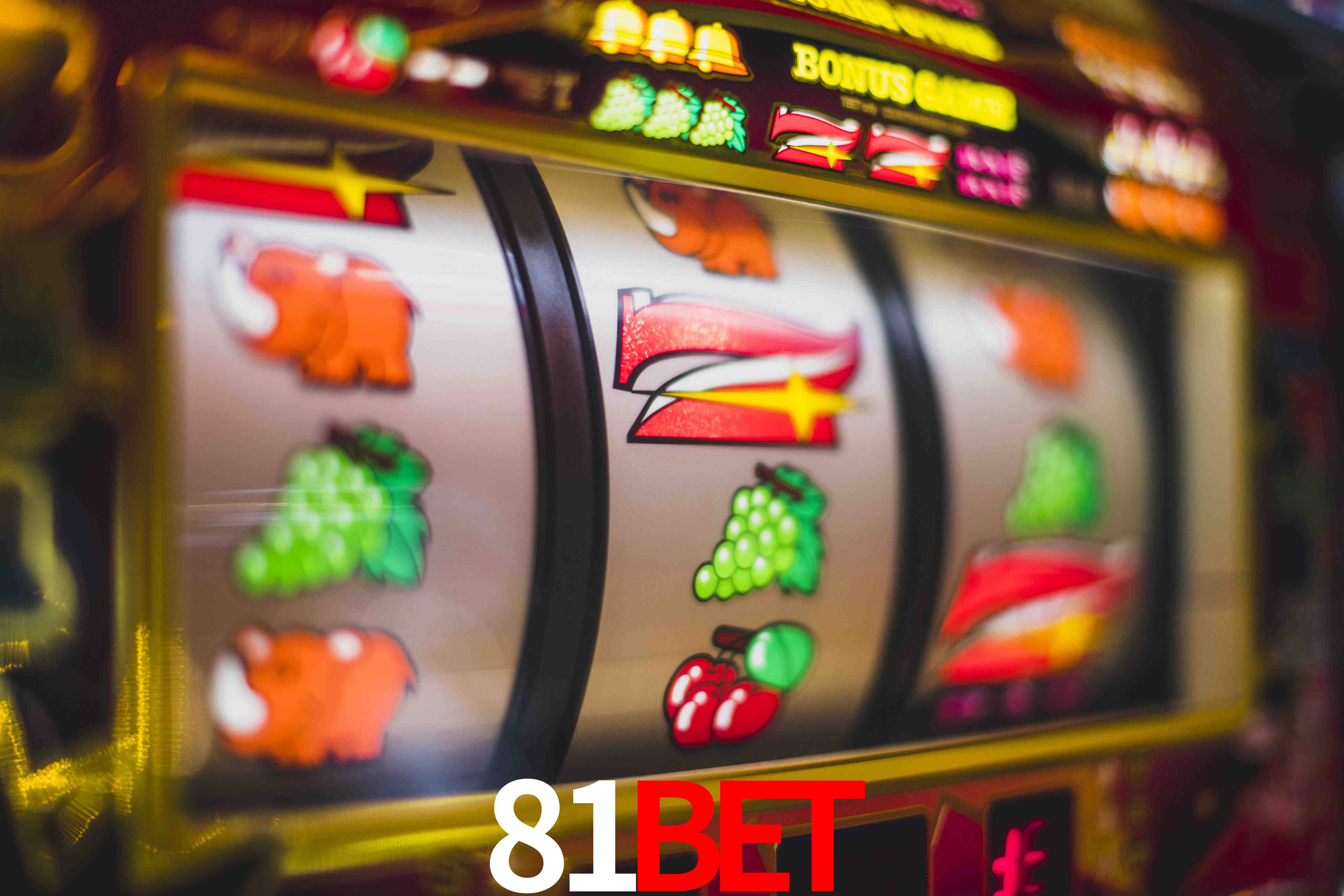 Crash Games Statistics 81bet